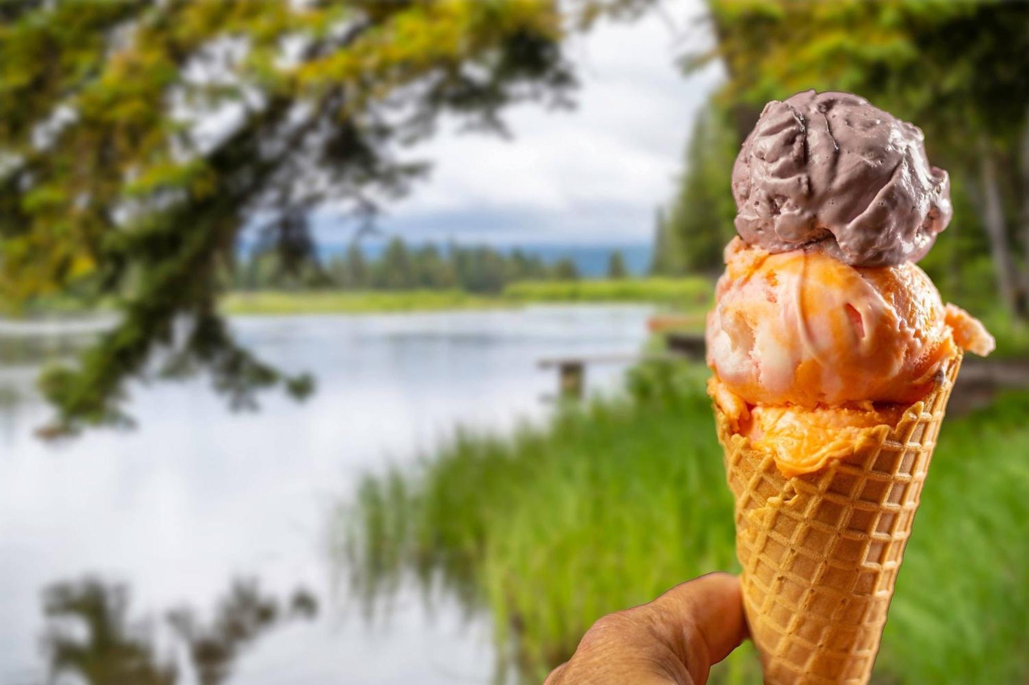 Springhill Suites Island Park Yellowstone المظهر الخارجي الصورة